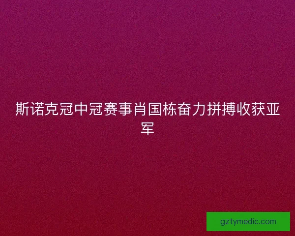 斯诺克冠中冠赛事肖国栋奋力拼搏收获亚军